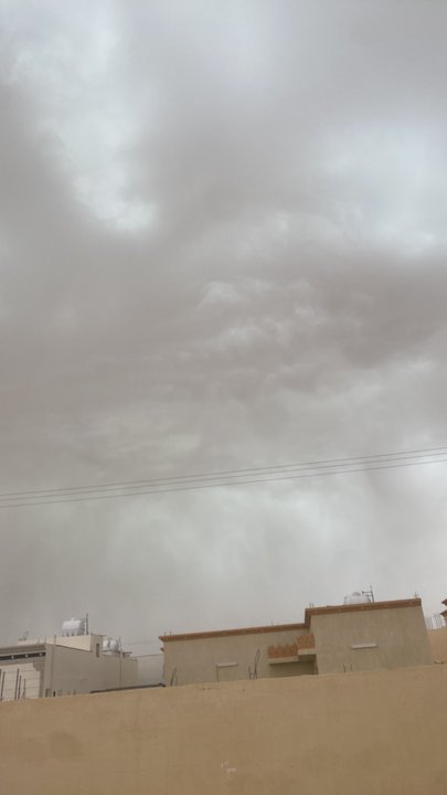 مشاركاتي في أنت الراصد