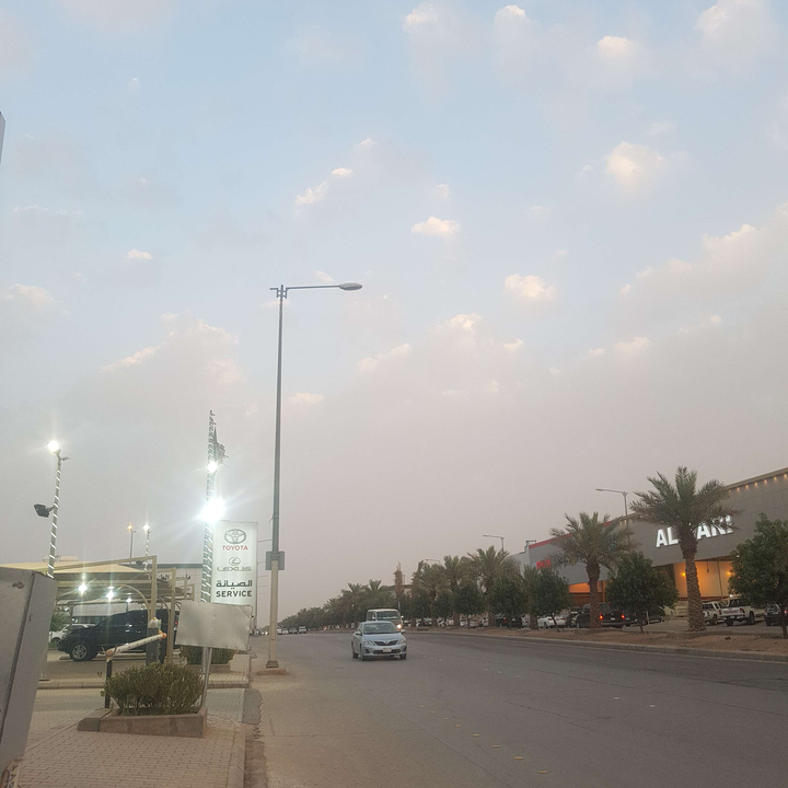 مشاركاتي في أنت الراصد