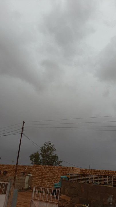 مشاركاتي في أنت الراصد