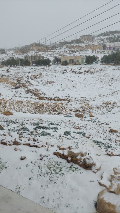 مشاركاتي في أنت الراصد