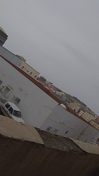 مشاركاتي في أنت الراصد