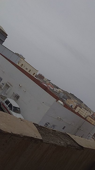 مشاركاتي في أنت الراصد