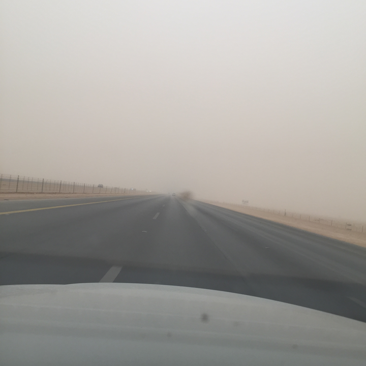 مشاركاتي في أنت الراصد