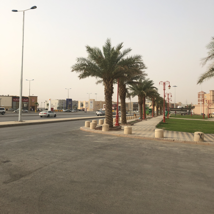 مشاركاتي في أنت الراصد