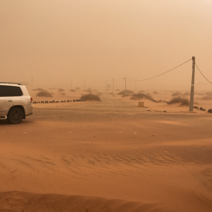 مشاركاتي في أنت الراصد