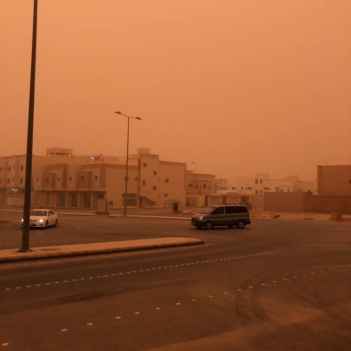 مشاركاتي في أنت الراصد