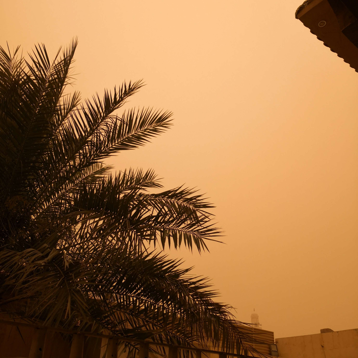 مشاركاتي في أنت الراصد