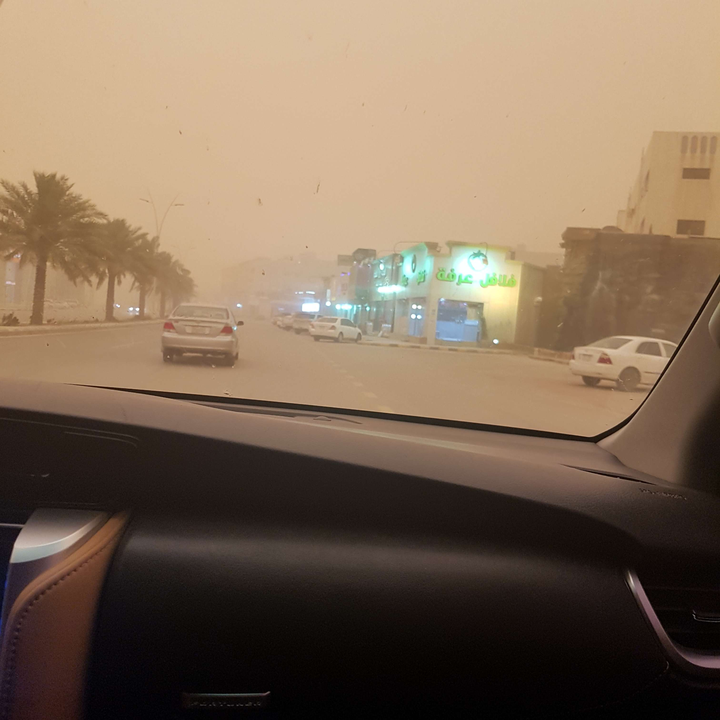 مشاركاتي في أنت الراصد