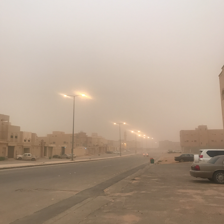 مشاركاتي في أنت الراصد