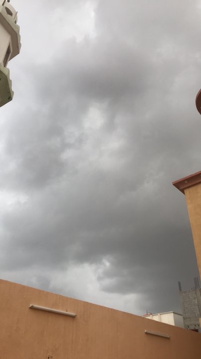 مشاركاتي في أنت الراصد