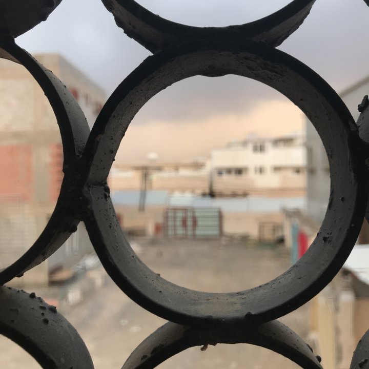 مشاركاتي في أنت الراصد