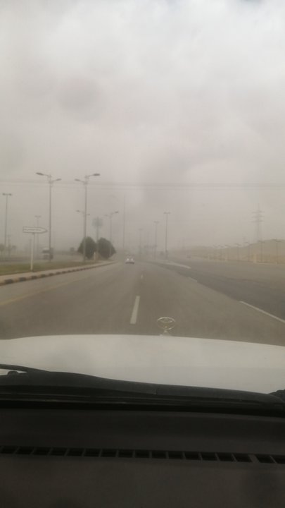 مشاركاتي في أنت الراصد