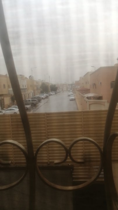 مشاركاتي في أنت الراصد