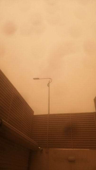 مشاركاتي في أنت الراصد