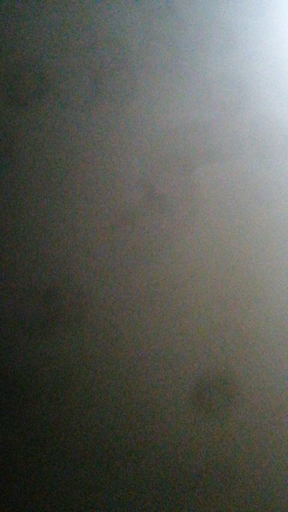 مشاركاتي في أنت الراصد