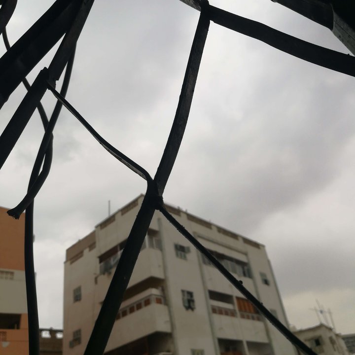 مشاركاتي في أنت الراصد