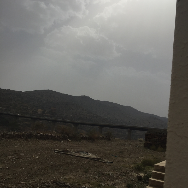 مشاركاتي في أنت الراصد