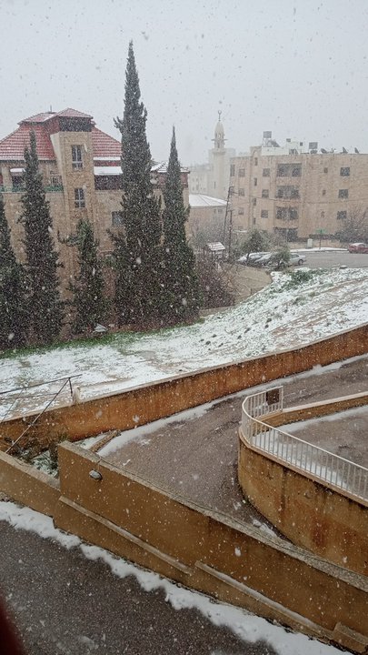 مشاركاتي في أنت الراصد