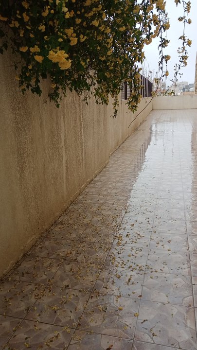 مشاركاتي في أنت الراصد