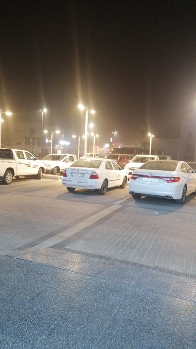 مشاركاتي في أنت الراصد