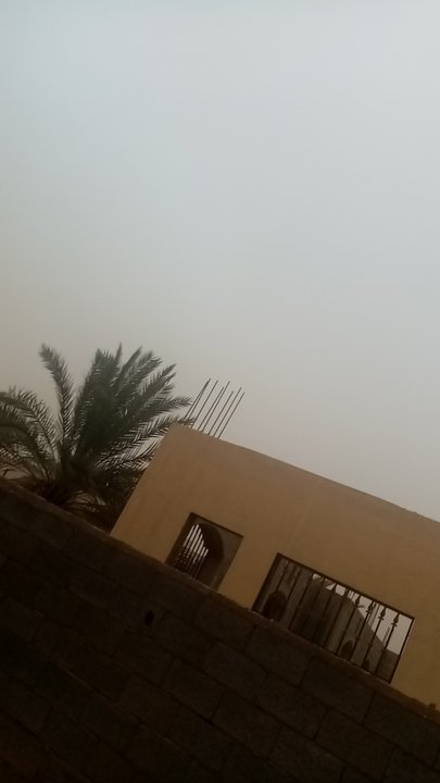 مشاركاتي في أنت الراصد