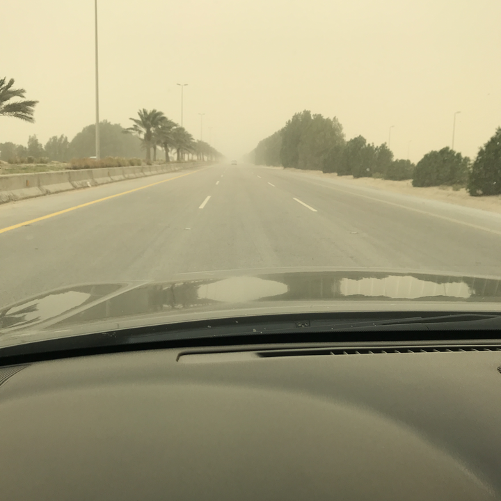 مشاركاتي في أنت الراصد