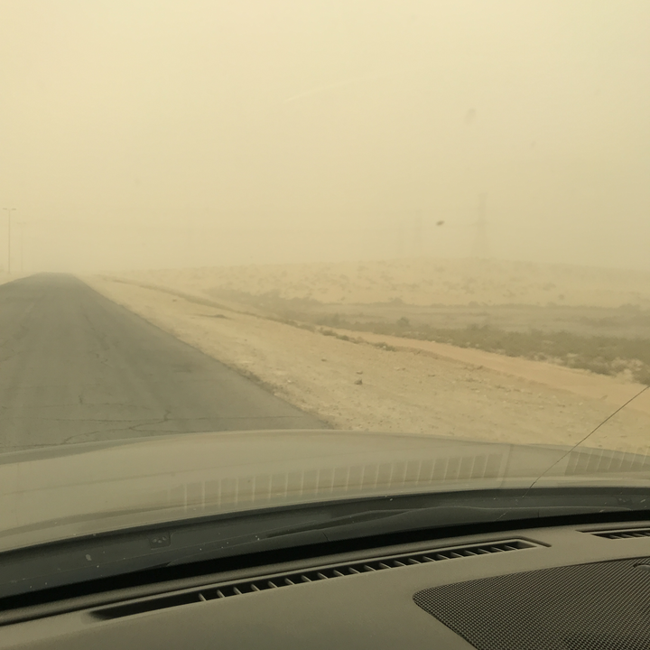 مشاركاتي في أنت الراصد