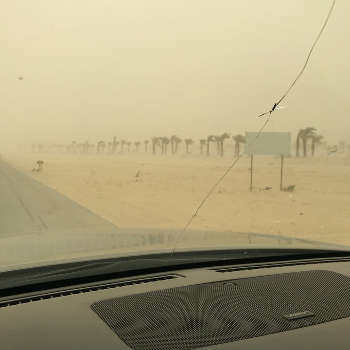 مشاركاتي في أنت الراصد