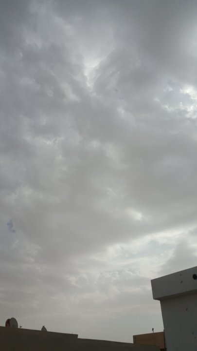 مشاركاتي في أنت الراصد