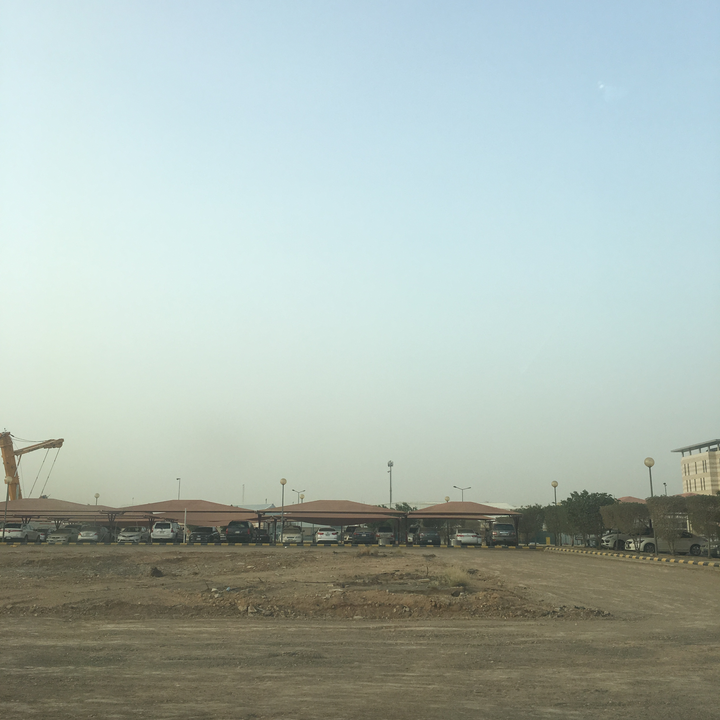 مشاركاتي في أنت الراصد