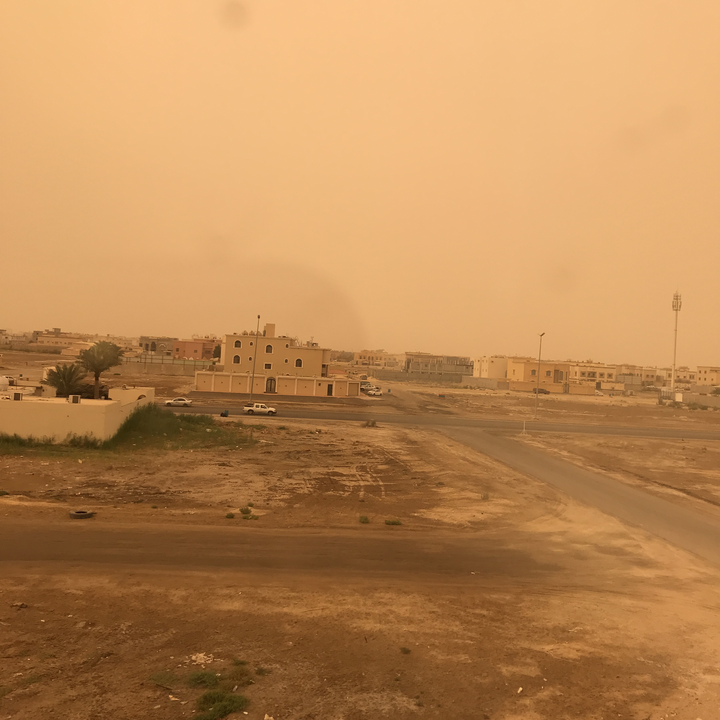 مشاركاتي في أنت الراصد