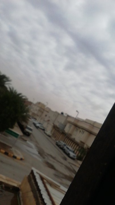 مشاركاتي في أنت الراصد