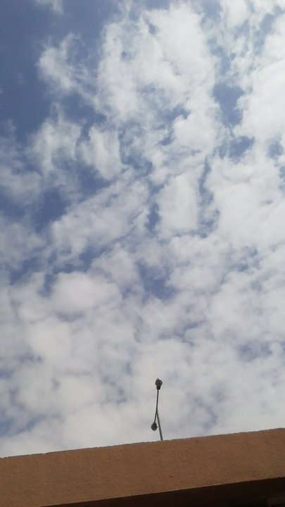 مشاركاتي في أنت الراصد