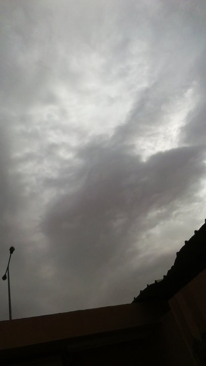 مشاركاتي في أنت الراصد