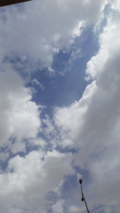 مشاركاتي في أنت الراصد