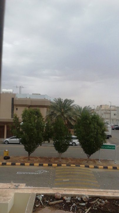 مشاركاتي في أنت الراصد