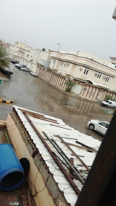 مشاركاتي في أنت الراصد