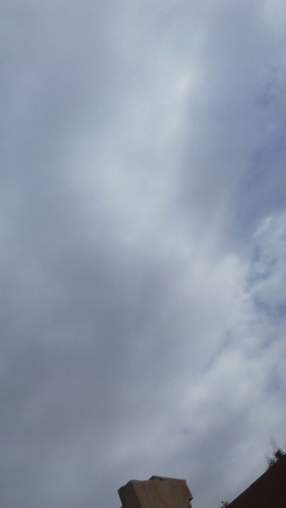 مشاركاتي في أنت الراصد