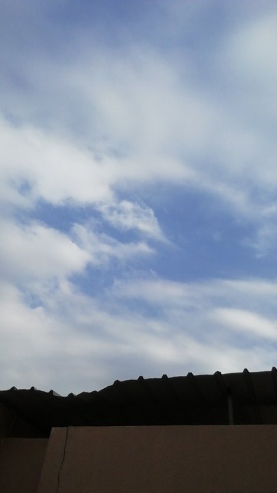 مشاركاتي في أنت الراصد