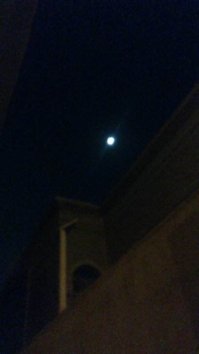 مشاركاتي في أنت الراصد