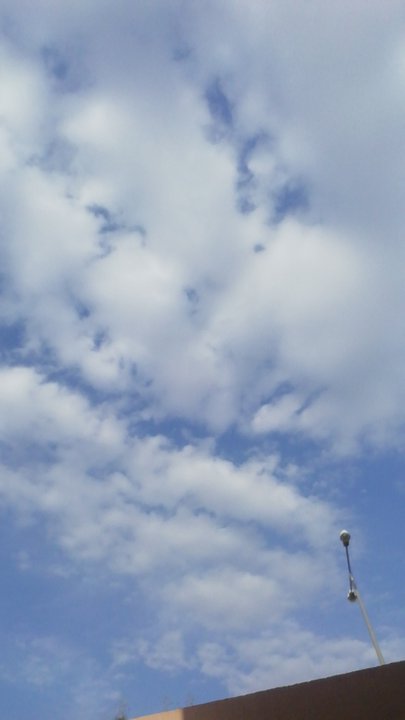 مشاركاتي في أنت الراصد