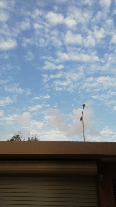 مشاركاتي في أنت الراصد