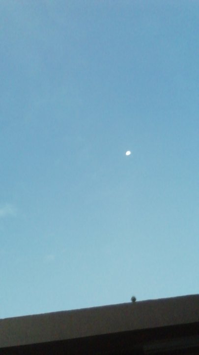 مشاركاتي في أنت الراصد