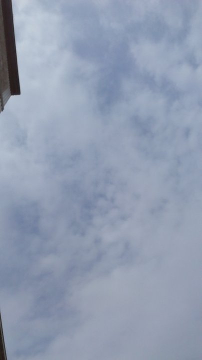 مشاركاتي في أنت الراصد