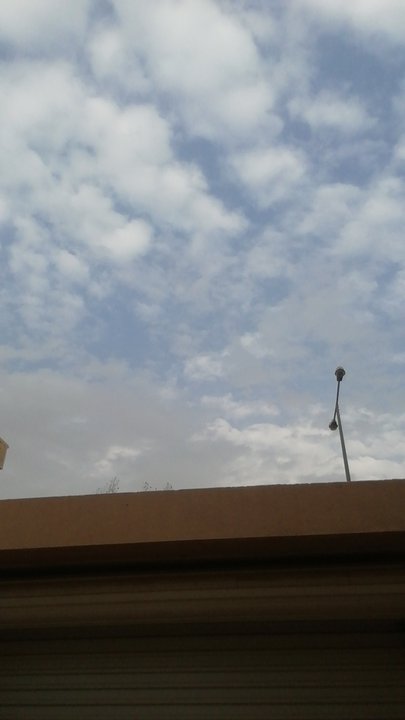 مشاركاتي في أنت الراصد