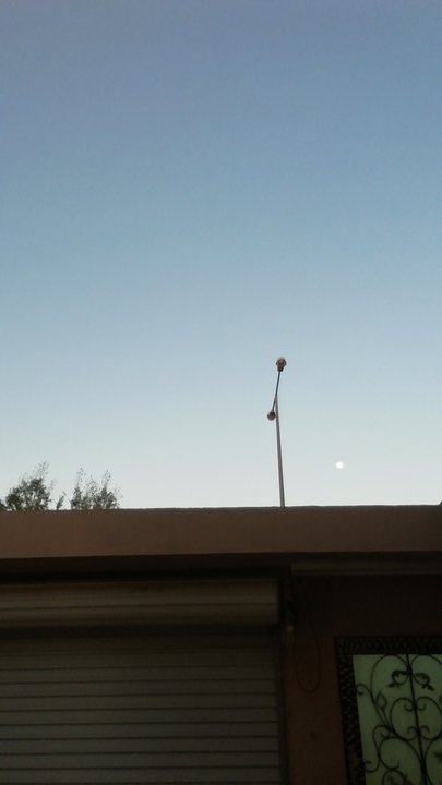 مشاركاتي في أنت الراصد