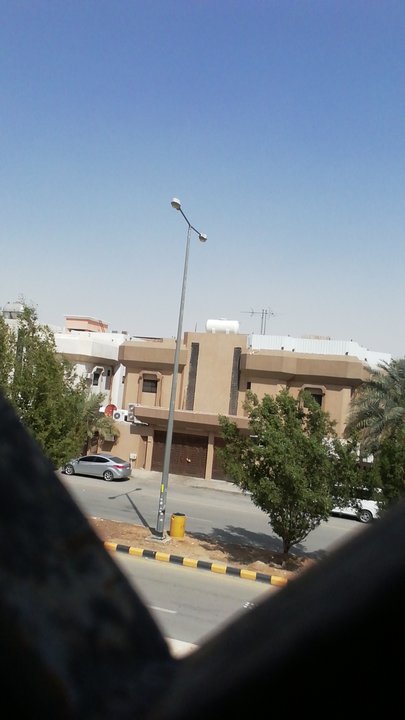 مشاركاتي في أنت الراصد