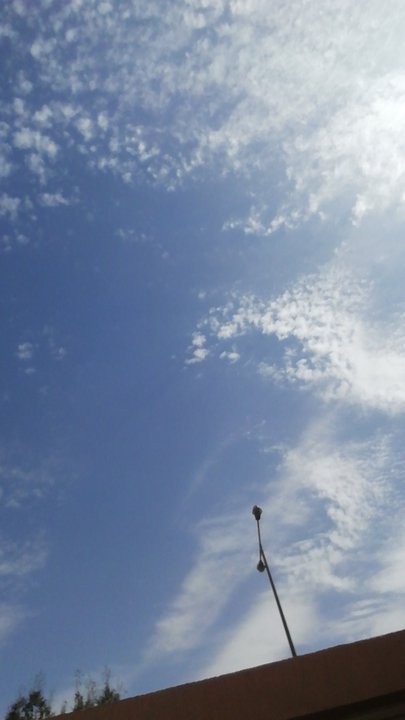 مشاركاتي في أنت الراصد