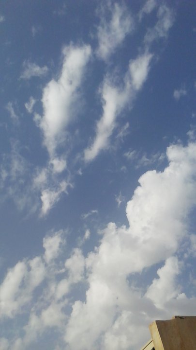 مشاركاتي في أنت الراصد