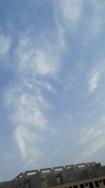 مشاركاتي في أنت الراصد